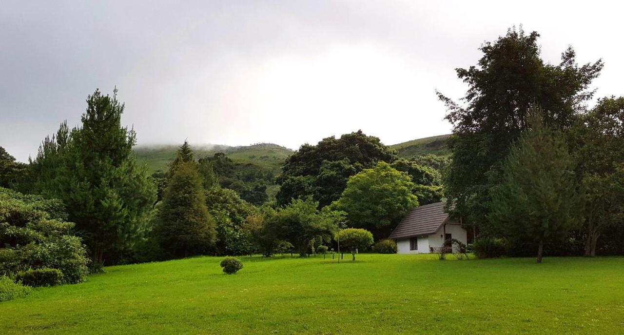 Wild Forest Inn Graskop Exterior foto