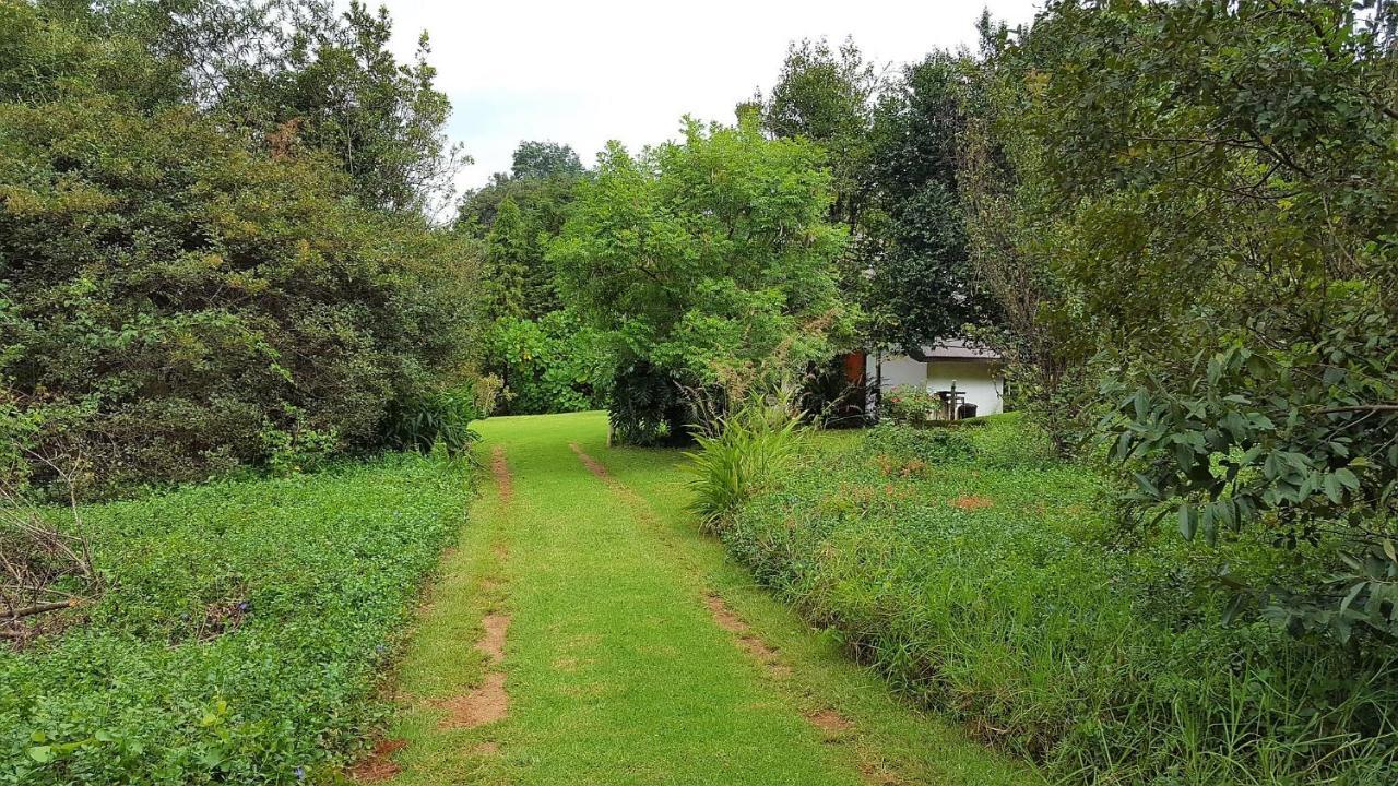 Wild Forest Inn Graskop Exterior foto