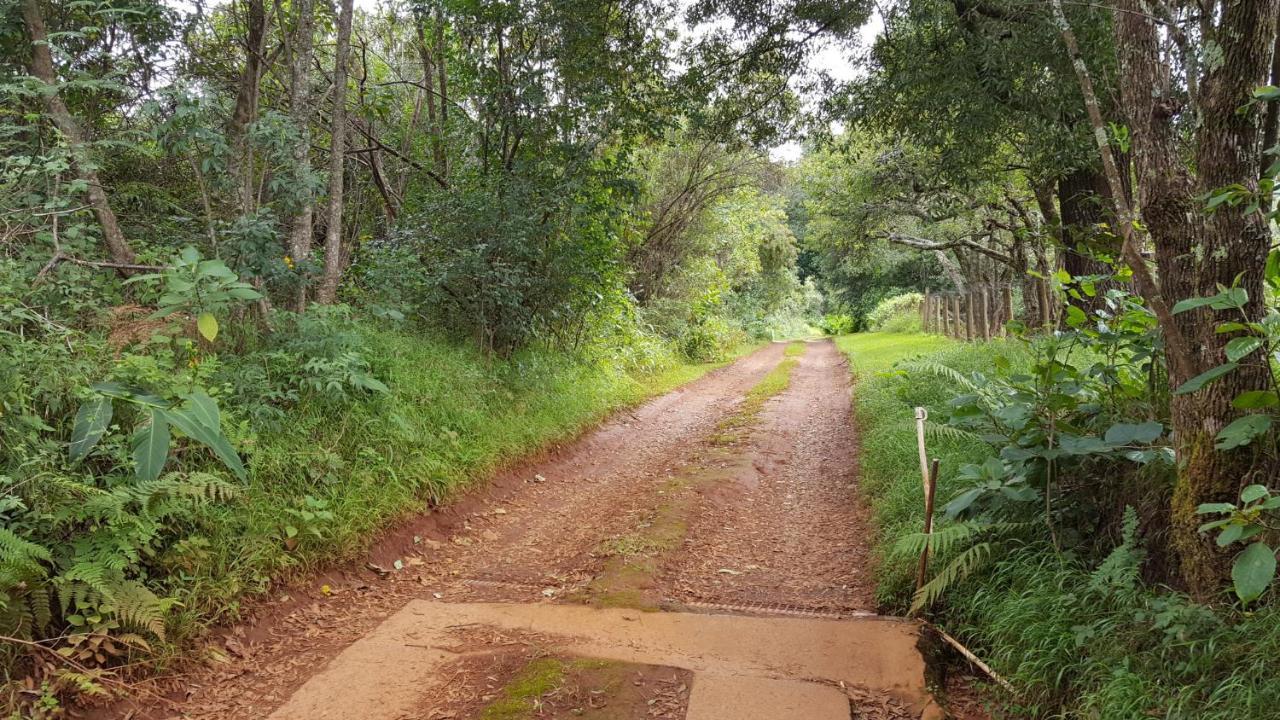 Wild Forest Inn Graskop Exterior foto