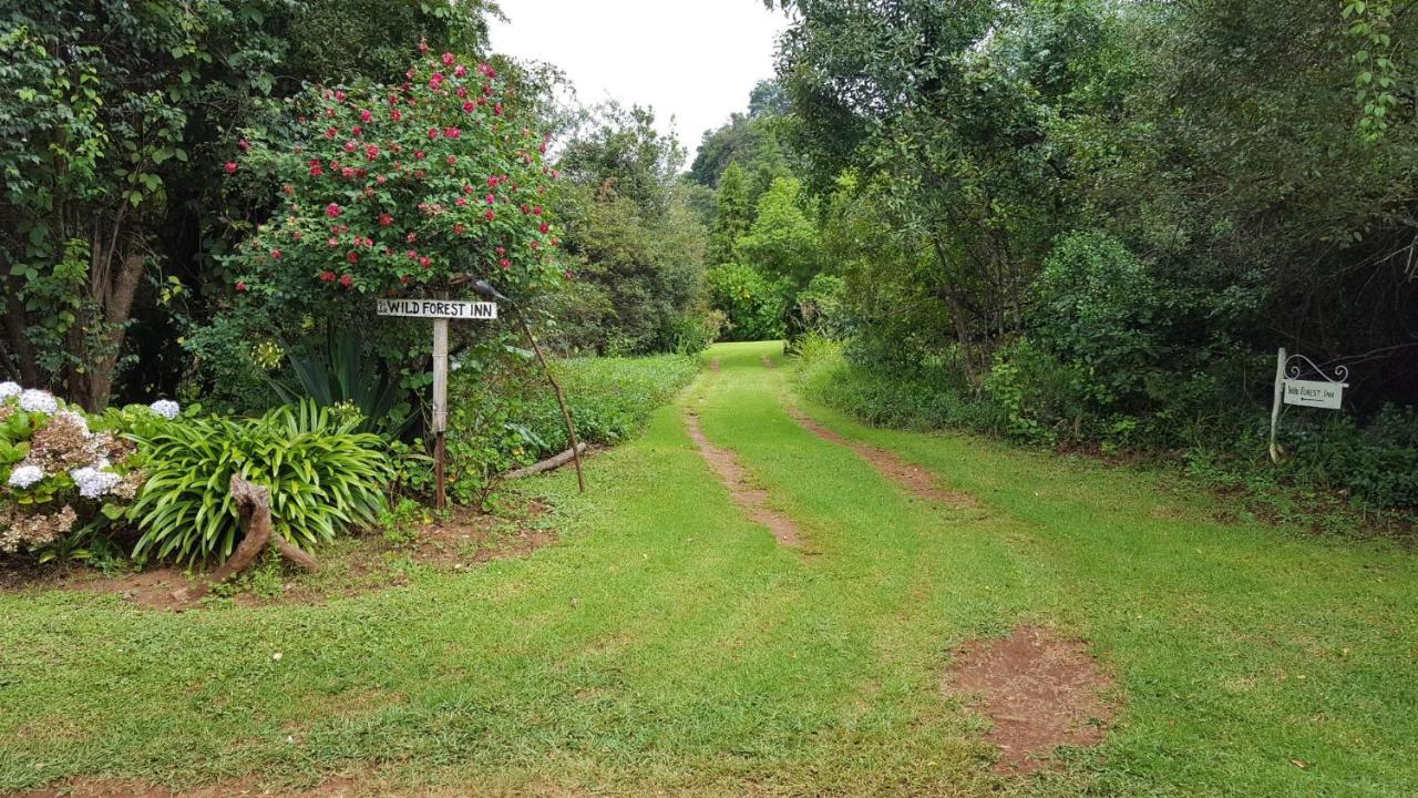 Wild Forest Inn Graskop Exterior foto