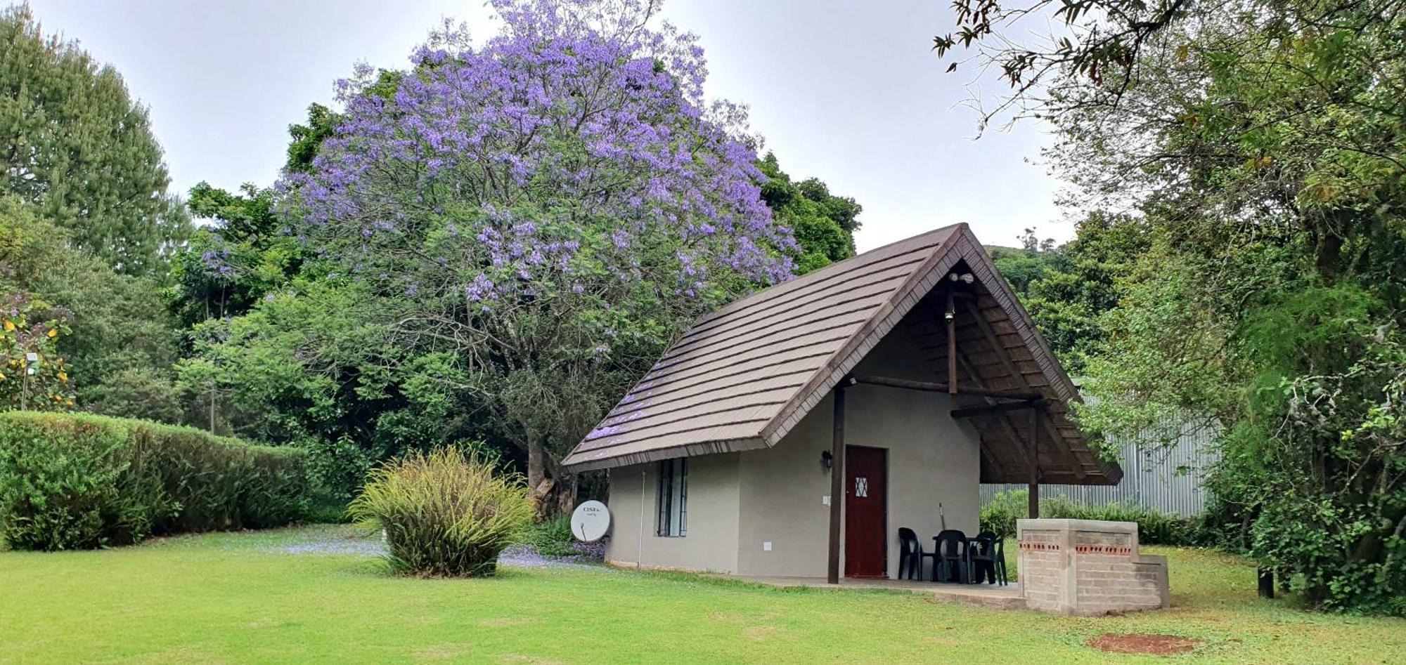 Wild Forest Inn Graskop Exterior foto