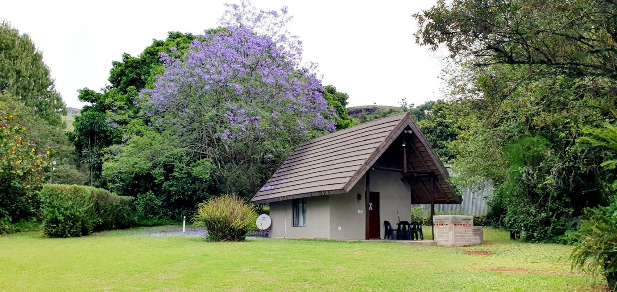 Wild Forest Inn Graskop Exterior foto