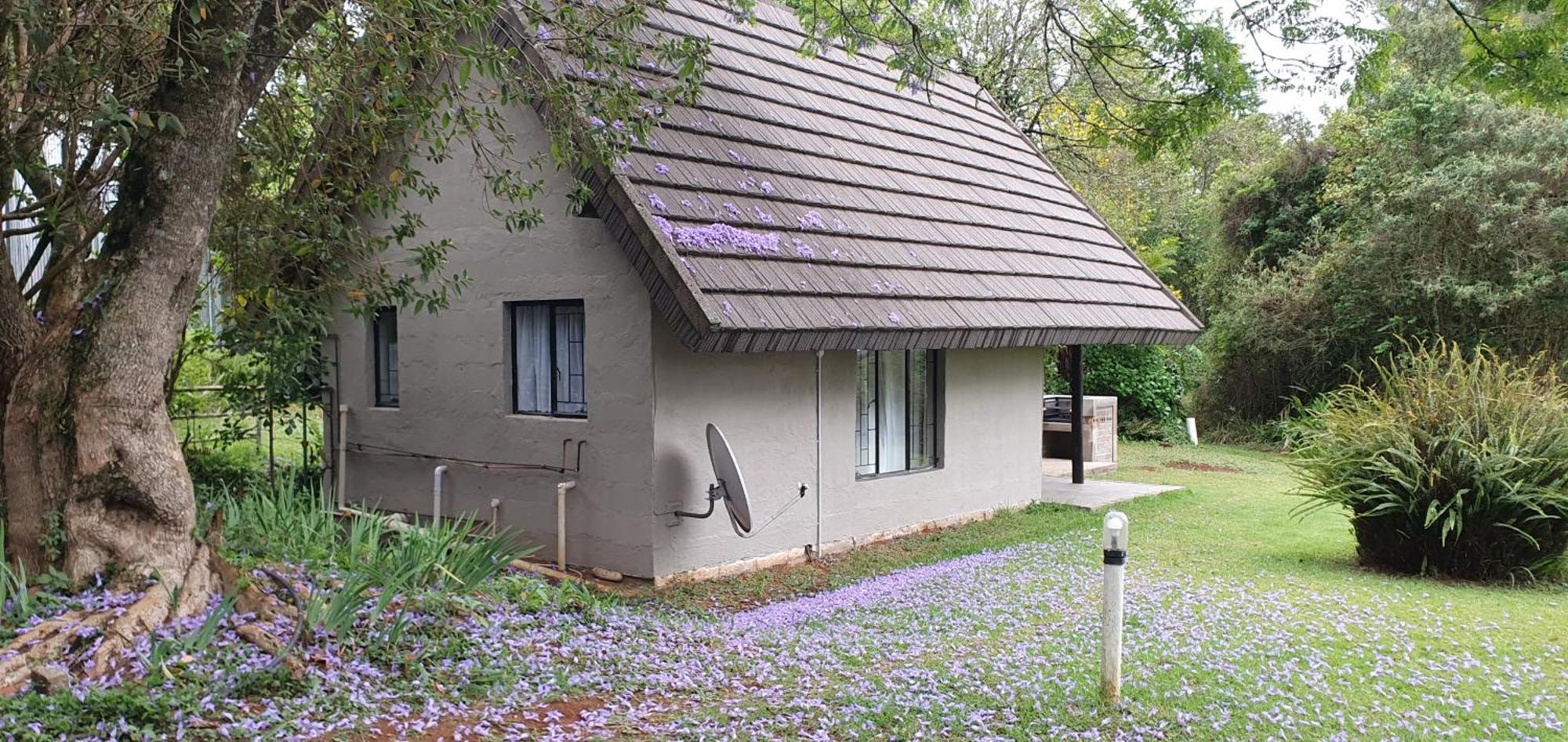 Wild Forest Inn Graskop Exterior foto